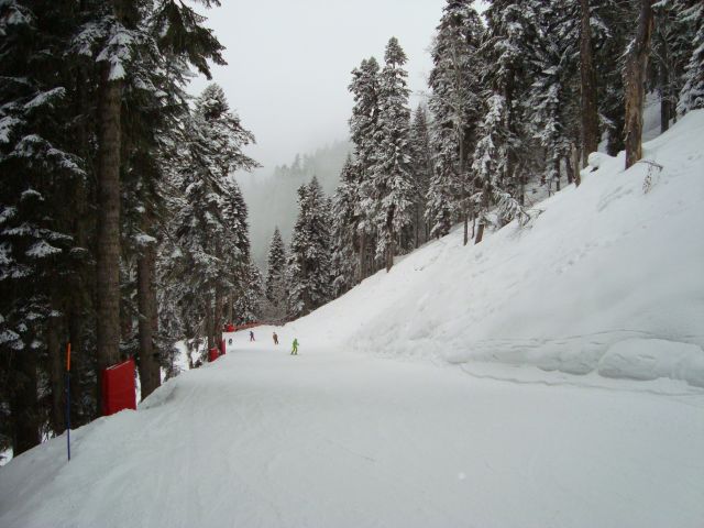 DSC01731