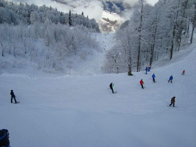 DSC01757