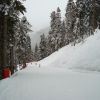 DSC01731