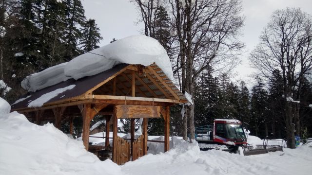 Домбай2019г.