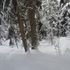 Хацвали