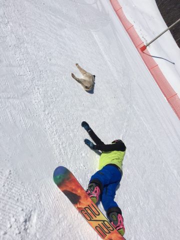 IMG 20180331 142137 483