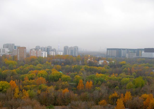 Свиб