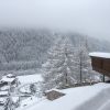 IMG 1972