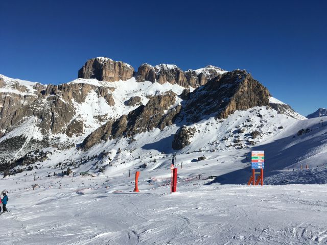 IMG 0182