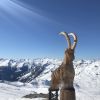 Courchevel March 2019 6