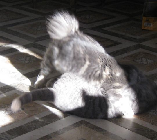 Педики ответ2