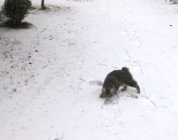 Январь2