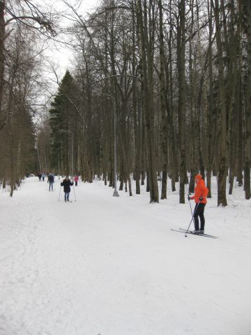 ЛыжняЛ