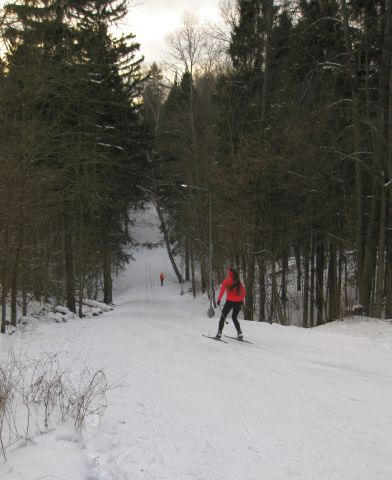 Лыжня Лен