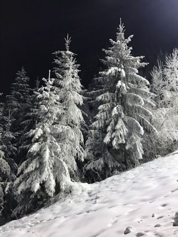 Zell-Am-See