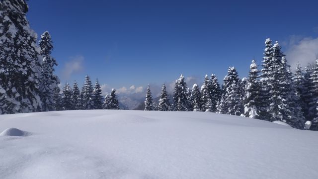 Поляна