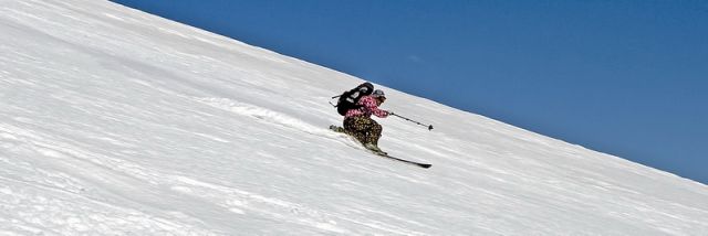 IMG 7737