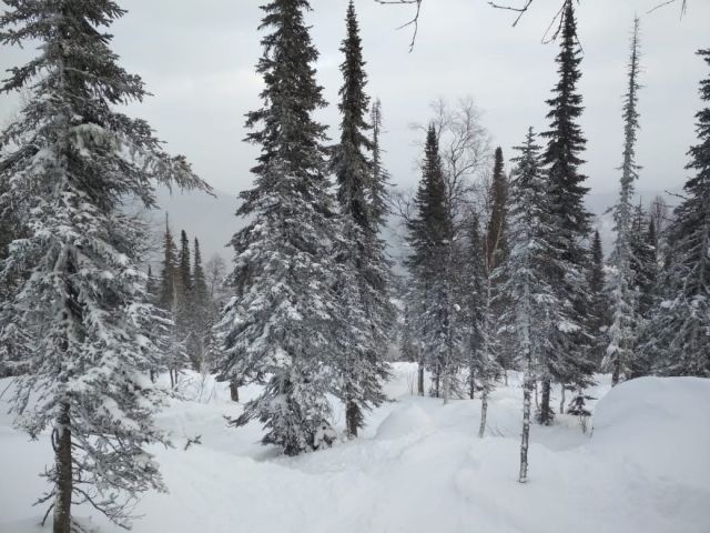 IMG-20201210-WA0012.jpg