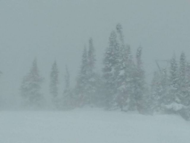 IMG-20201210-WA0021.jpg