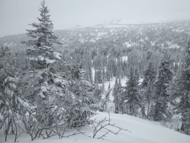 IMG-20201210-WA0011.jpg