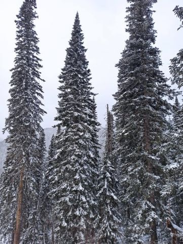 IMG-20201210-WA0018.jpg