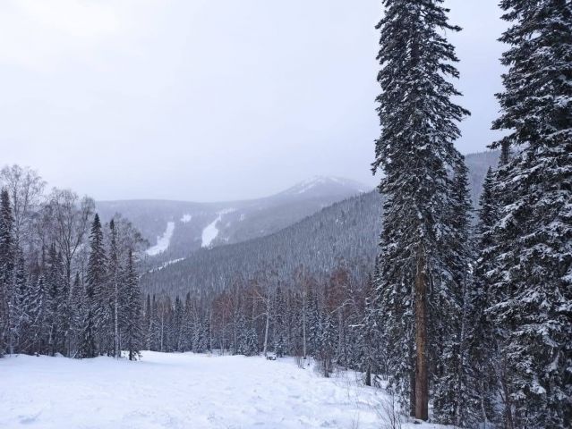 IMG-20201210-WA0017.jpg