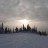 IMG-20201210-WA0016.jpg
