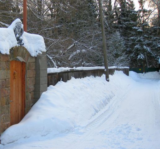Забор фев 11