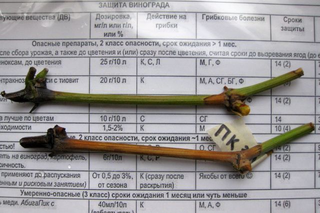 ПК нояб26