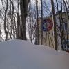 Погода...