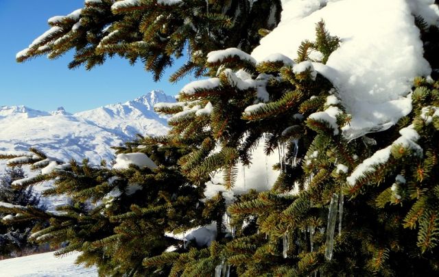 Les Arcs 1800