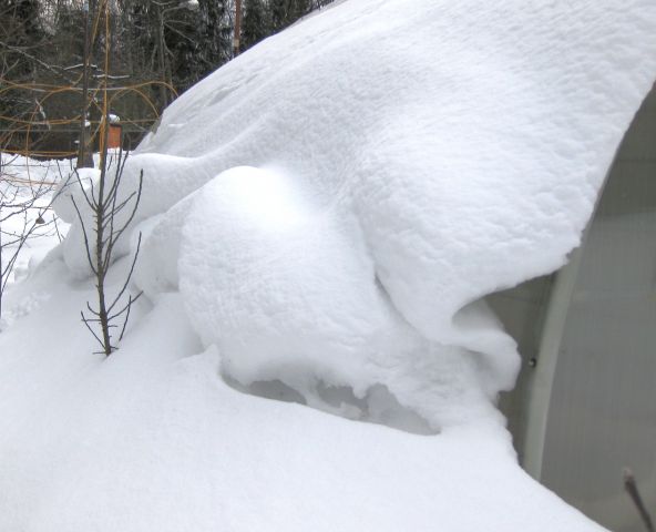 Снег