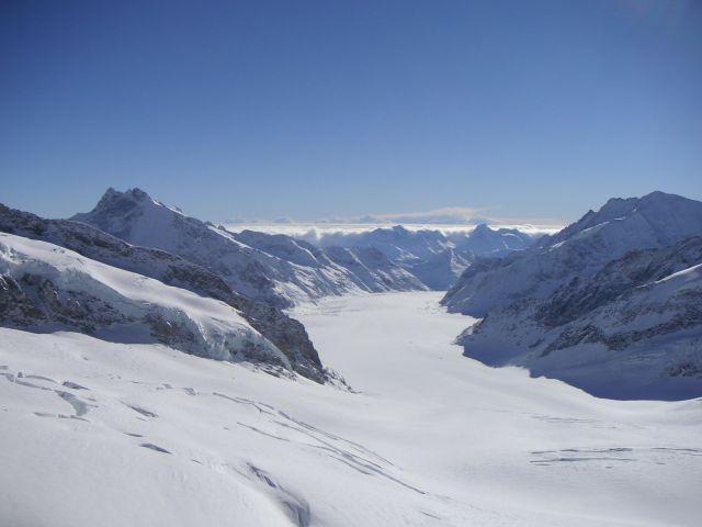 Ледник