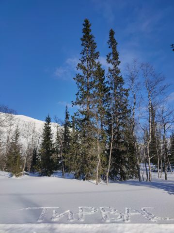 IMG20230323160544