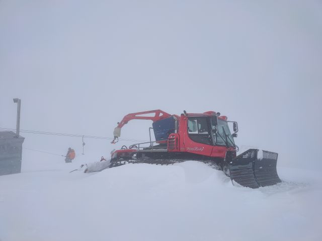 IMG20230330152238