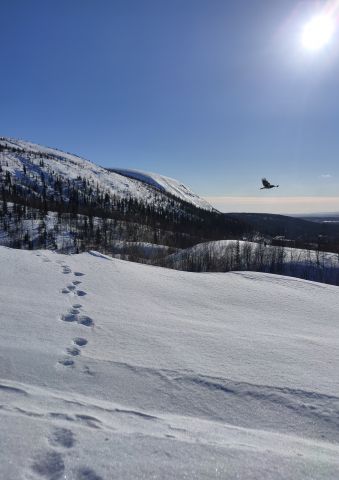 IMG 20230323 140605