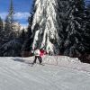 Dolomiti, Alta Badia, La Villa Dec'23