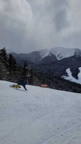 photo 2022 03 12