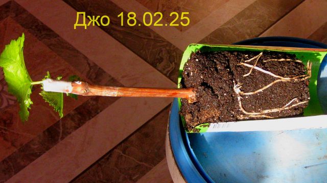Дж фев 18