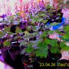апр 23