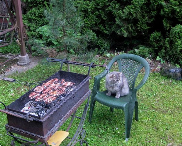Мсяо