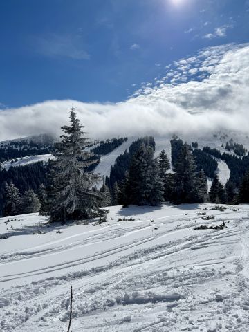 slopes