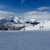 IMG 5973