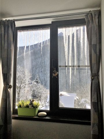 Вид в окно утром
