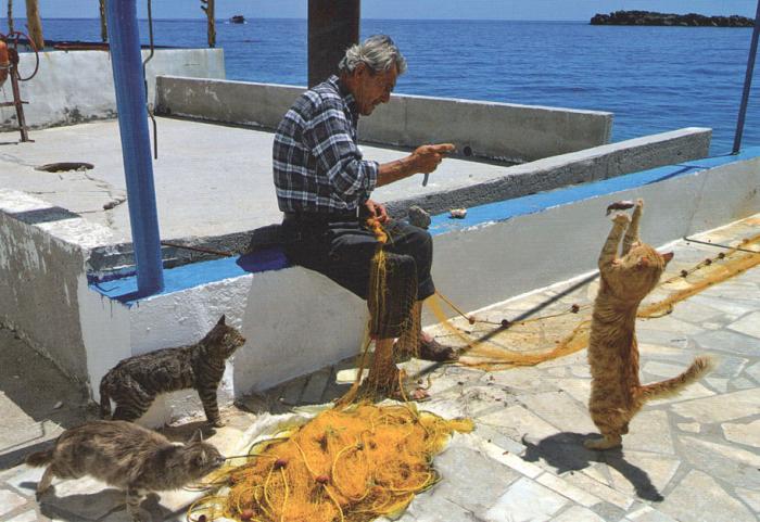 538b7343501f8_crete.jpg