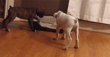 550543ba2900c_file.gif