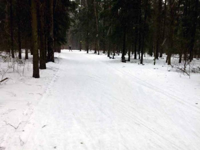 54fc31d0105b5_krasnogorsk20150308.jpg