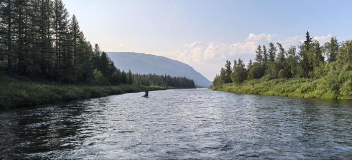 68a574c42a1de_photo_20250820_115509.jpg