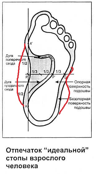 58ba655a8bac9_.jpg