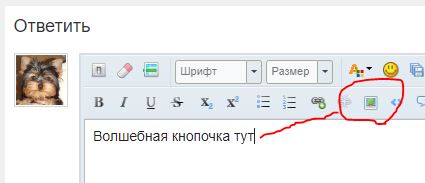 5c08b08253ca2_Inspic.jpg