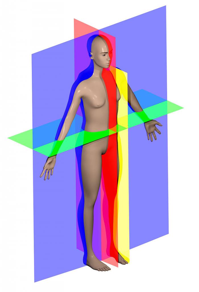 5b0f905a30041_.jpg