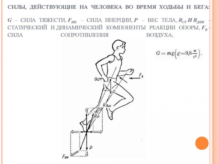 5f95f72262423_2.jpg