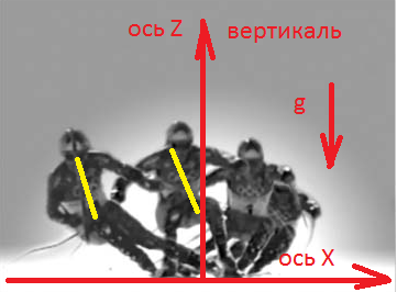 6093e85cc177f_11111.png