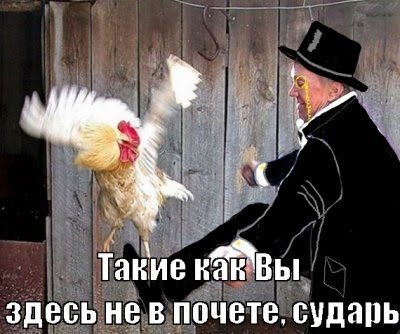 610b686a0fabe_13382964318651.jpg